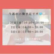 ヒメ日記 2026/03/31 13:05 投稿 りえ clubさくら梅田店