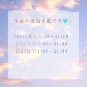 ヒメ日記 2025/01/29 23:05 投稿 りえ 奥様さくら梅田店