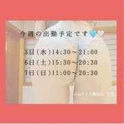 ヒメ日記 2025/09/01 08:15 投稿 りえ 奥様さくら梅田店