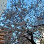 ヒメ日記 2025/04/06 12:19 投稿 らら One More 奥様　松戸店