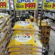 ヒメ日記 2026/10/02 12:24 投稿 らら One More 奥様　松戸店