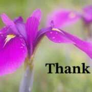 ヒメ日記 2025/05/31 22:00 投稿 原田麗子 五十路マダム 浜松店(カサブランカグループ)