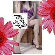 ヒメ日記 2025/08/07 19:16 投稿 原田麗子 五十路マダム 浜松店(カサブランカグループ)