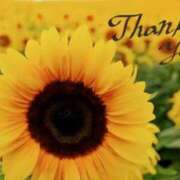 ヒメ日記 2025/08/08 19:24 投稿 原田麗子 五十路マダム 浜松店(カサブランカグループ)