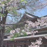 ヒメ日記 2026/04/04 14:28 投稿 原田麗子 五十路マダム 浜松店(カサブランカグループ)