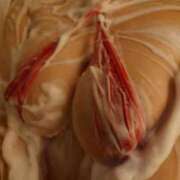 ヒメ日記 2025/04/09 16:07 投稿 ゆうこ THE ESUTE 渋谷