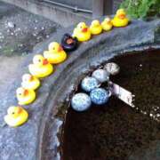 ヒメ日記 2025/02/13 21:47 投稿 シュルツ 鶯谷デッドボール