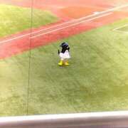 ヒメ日記 2025/06/22 15:19 投稿 シュルツ 鶯谷デッドボール