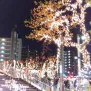 ヒメ日記 2025/12/19 02:19 投稿 シュルツ 鶯谷デッドボール