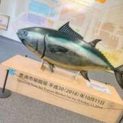 シュルツ 出勤 鶯谷デッドボール