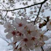 シュルツ 13時から出勤 鶯谷デッドボール