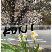 ヒメ日記 2025/02/08 22:16 投稿 三好邦子(みよしくにこ) 五十路マダムエクスプレス厚木店(カサブランカグループ)