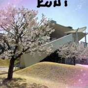 ヒメ日記 2025/04/05 12:16 投稿 三好邦子(みよしくにこ) 五十路マダムエクスプレス厚木店(カサブランカグループ)