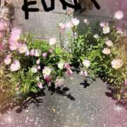 ヒメ日記 2025/05/14 06:20 投稿 三好邦子(みよしくにこ) 五十路マダムエクスプレス厚木店(カサブランカグループ)