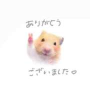 ヒメ日記 2025/03/20 06:15 投稿 咲花れんか 奴隷志願！変態調教飼育クラブ本店