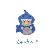 ヒメ日記 2025/03/22 15:28 投稿 咲花れんか 奴隷志願！変態調教飼育クラブ本店