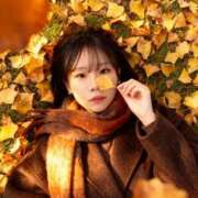 ヒメ日記 2025/11/19 17:52 投稿 咲花れんか 奴隷志願！変態調教飼育クラブ本店