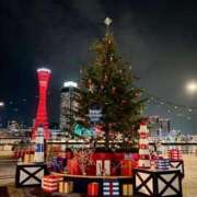 ヒメ日記 2025/12/25 04:21 投稿 咲花れんか 奴隷志願！変態調教飼育クラブ本店