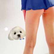 ヒメ日記 2026/04/17 14:28 投稿 咲花れんか 奴隷志願！変態調教飼育クラブ本店