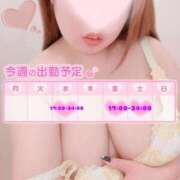 ヒメ日記 2025/01/21 17:50 投稿 みさき Ｓ＆Ｍ　極嬢