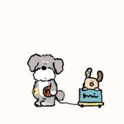 ヒメ日記 2026/01/11 14:20 投稿 みさき Ｓ＆Ｍ極嬢