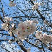 ヒメ日記 2025/04/07 23:40 投稿 天川きらり☆超絶鉄板美人 ESTE ALLURE