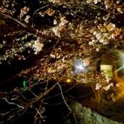 かづき ※無題 CLUBドレミ