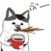 ヒメ日記 2026/04/16 22:30 投稿 かづき CLUBドレミ