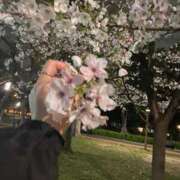 ヒメ日記 2025/04/03 19:54 投稿 らら ドM女学園大阪