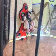 ヒメ日記 2025/05/10 07:17 投稿 らら ドM女学園大阪