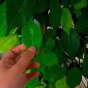 ヒメ日記 2025/05/31 15:54 投稿 らら ドM女学園大阪