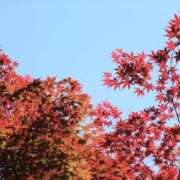 ヒメ日記 2025/11/25 16:31 投稿 みりちゃん ちょい！ぽちゃロリ倶楽部Hip's馬橋店