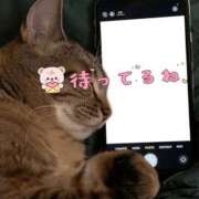 ヒメ日記 2025/11/17 10:48 投稿 るい パンドラ(上野)