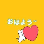 ヒメ日記 2026/03/19 10:07 投稿 るい パンドラ(上野)