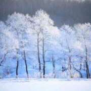 ヒメ日記 2025/12/14 11:50 投稿 ケイコ 人妻生レンタル