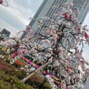 ヒメ日記 2025/03/15 00:44 投稿 ゆか ～優しい若妻倶楽部～Mrs.女神