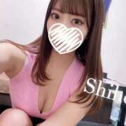 ヒメ日記 2025/04/08 11:52 投稿 生駒しほ Darlin Premium(ダーリンプレミアム)