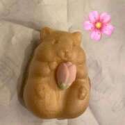 ヒメ日記 2026/03/14 17:05 投稿 三谷　ゆりか 現役ナースが精液採取に伺います 梅田店