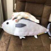 ヒメ日記 2025/02/22 12:10 投稿 るな 熟女の風俗最終章　越谷店