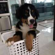 ヒメ日記 2025/04/19 09:22 投稿 るな 熟女の風俗最終章　越谷店