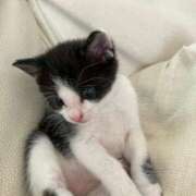 ヒメ日記 2025/05/28 00:12 投稿 るな 熟女の風俗最終章　越谷店