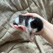 ヒメ日記 2025/09/23 12:22 投稿 るな 熟女の風俗最終章　越谷店