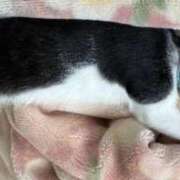 ヒメ日記 2025/11/20 13:04 投稿 るな 熟女の風俗最終章　越谷店