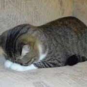 ヒメ日記 2025/12/06 18:32 投稿 るな 熟女の風俗最終章　越谷店