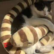 ヒメ日記 2026/03/05 10:40 投稿 るな 熟女の風俗最終章　越谷店