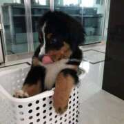 ヒメ日記 2026/03/08 01:20 投稿 るな 熟女の風俗最終章　越谷店