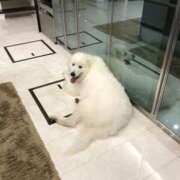 ヒメ日記 2024/12/09 21:22 投稿 るな 熟女の風俗最終章 西川口店