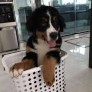 ヒメ日記 2024/12/10 13:54 投稿 るな 熟女の風俗最終章 西川口店