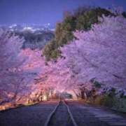 ヒメ日記 2025/04/04 13:53 投稿 るな 熟女の風俗最終章 西川口店