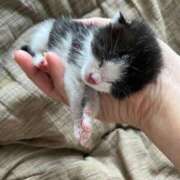 ヒメ日記 2025/05/02 23:02 投稿 るな 熟女の風俗最終章 西川口店